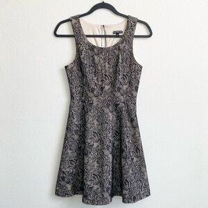 Express Lace Print Black & Nude Fit & Flare Cocktail Dress